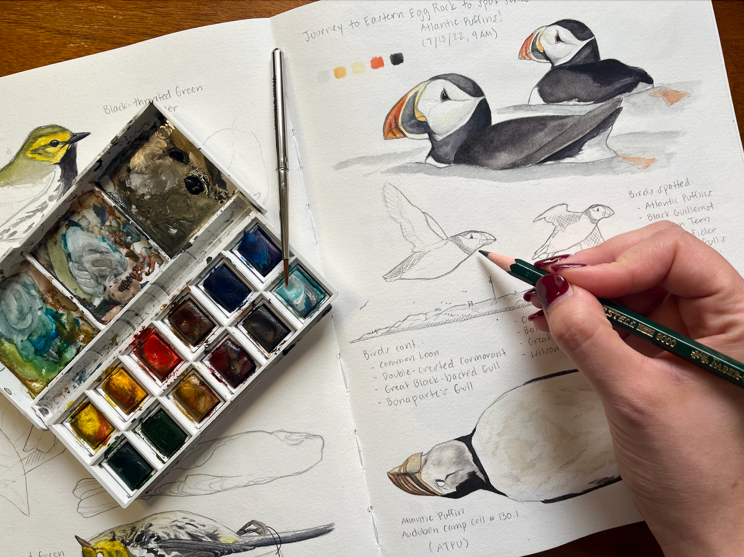 AUG 8 | Intermediate Scientific Illustration Watercolor Workshop with Madison Mayfield