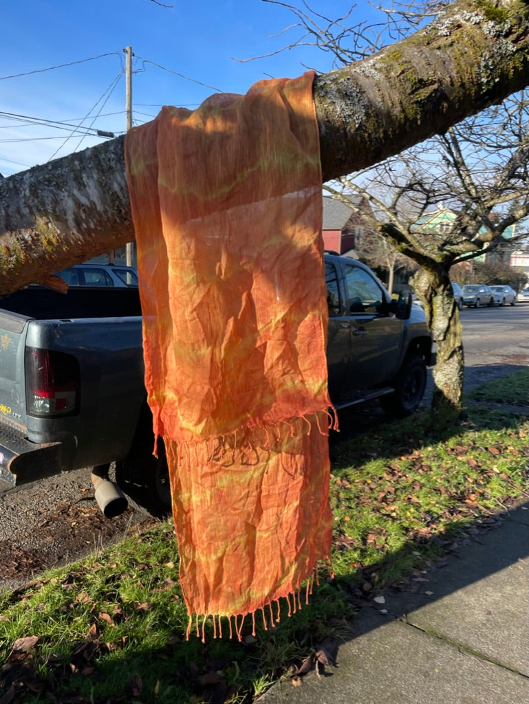 Sept 26 | Autumnal Natural Dye Workshop with Serafima Zavorotny and Fiona Ferguson
