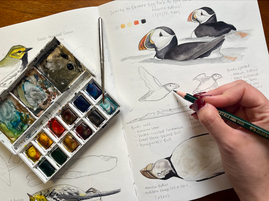 AUG 8 | Intermediate Scientific Illustration Watercolor Workshop with Madison Mayfield